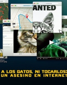 A los gatos ni tocarlos: Un asesino en Internet online