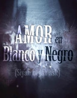 Amor en blanco y negro T1