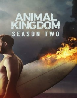 Animal Kingdom temporada  2 online