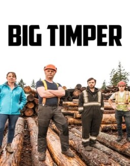 Big Timber online