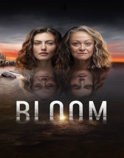 Bloom stream