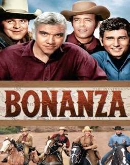 Bonanza T1