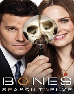 Bones T12