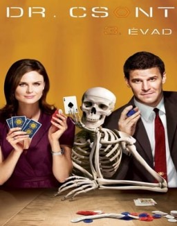 Bones temporada  3 online