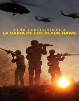 Cómo sobrevivimos a la caída de los Black Hawk stream