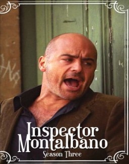 Comisario Montalbano temporada  3 online