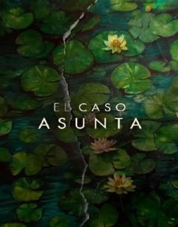 El caso Asunta online gratis