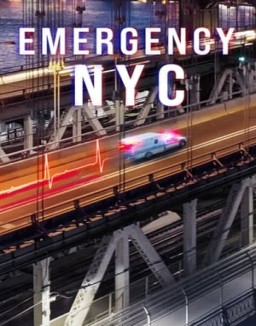 Emergencias: Nueva York online gratis