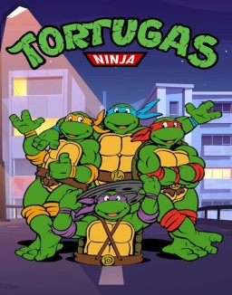 Las Tortugas Ninja (1987) T1