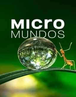 Micromundos T1