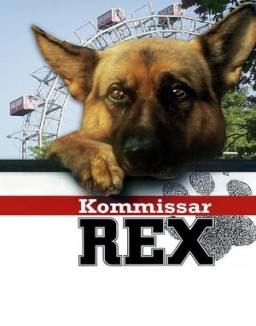 Rex, un policía diferente stream