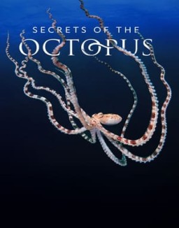 Secrets of the Octopus stream